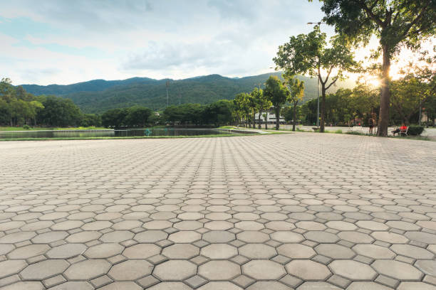 Best Best Driveway Pavers  in East Palatka, FL